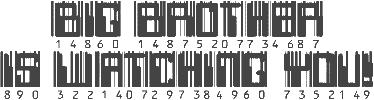 Big Brother is Watching You Barcode - Borrowed From Ben's Excellent 1984 Flash Animation